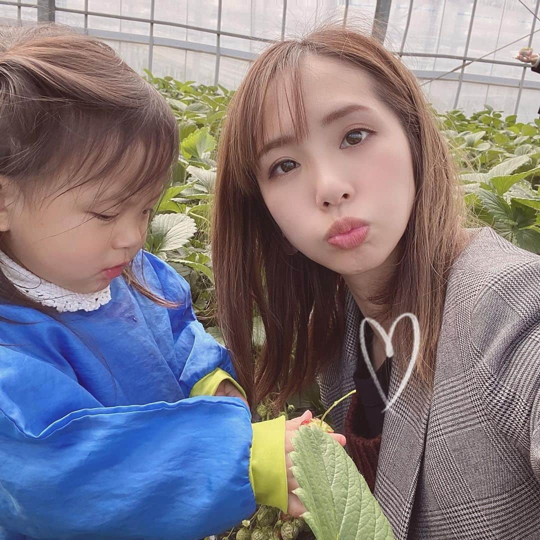福長優のインスタグラム：「❤︎ #いちご狩り 🍓🍓🍓🍓🍓 心友と娘ッ子だけ連れていちご狩り💫 楽しかったみたいで たくさん採って食べてたぁ👧🏻 昔から子供にはエプロン付けて 参戦するのがお決まり✌︎ 120%汚す🙂  #いちご狩り」