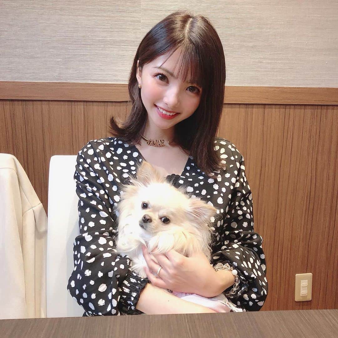 岡田栞奈のインスタグラム：「娘達とランチ🐶🍽💓💓 ・ ・ ・ ドッグランでは人見知り全開で ずっと椅子の下に潜ってた😂 意識したわけじゃないけど 自分もダルメシアン柄のワンピ着てる今日(笑) 無意識に犬に混ざりたかったらしい🐩 #ドッグカフェ #ドッグラン #犬のいる暮らし #トイプードル #チワワ #我が娘 #新宿」