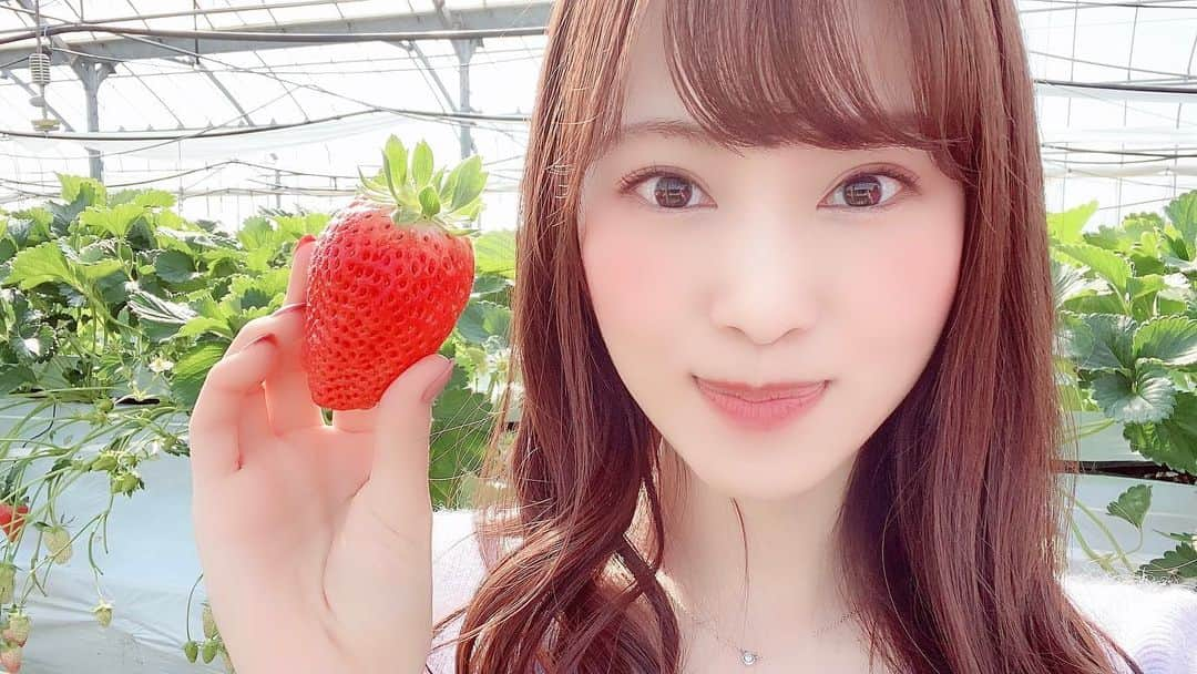 青山智美のインスタグラム