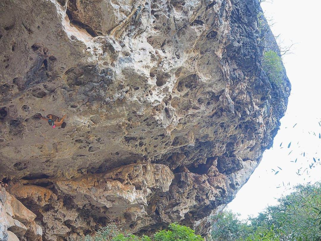 一宮大介のインスタグラム：「ラオスは人が米粒くらいのサイズになるくらい岩がデカい。  I’m on Laos🇱🇦 And climbing under the flaming sun🔥spend good everyday!! • 📸by @nori_kg」