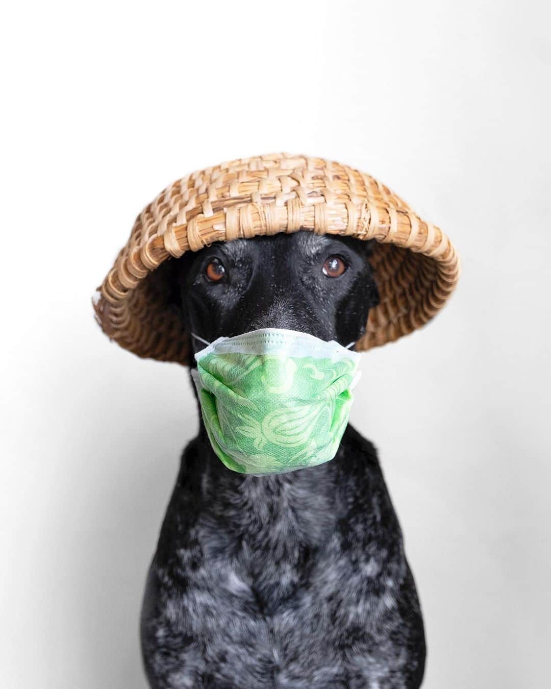 Look of Lalのインスタグラム：「THERE WAS A LITTLE BIRD, ITS NAME WAS ENZA. I OPENED THE WINDOW, AND IN FLU ENZA.」