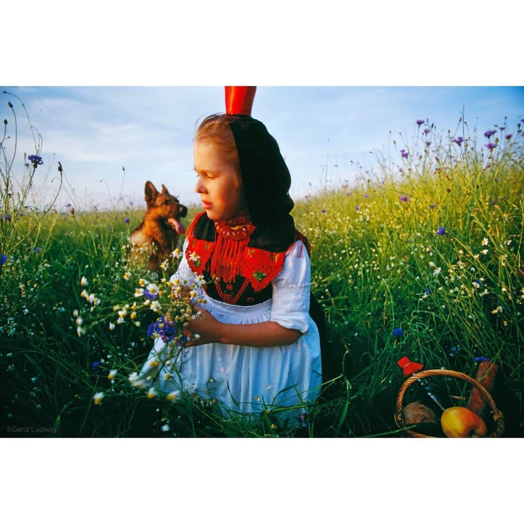 Gerd Ludwigさんのインスタグラム写真 - (Gerd LudwigInstagram)「Reminiscent of Grimm’s Fairy Tales’ Little Red Riding Hood, a girl in the Schwalm region of Germany pauses with her German shepherd in a nearby meadow during a break from folk dance performances.  Having grown up in the region, I remember a few of the village women still wearing the similar traditional local costume, specifically when visiting nearby towns on “official business,” or sometimes just to run errands. I even recall running into a woman dressed like this during a visit to my hometown of Alsfeld in 1989.  In support of my hometown, the region, local artists and the partnering organization supporting people with disabilities, I am participating in an arts/culture shop in which all goods sold are produced regionally. This photograph, along with several others depicting Alsfeld and the surrounding areas, will be sold there as small, signed prints. The shop, Markt 12, opens tomorrow, February 29.  @thephotosociety @natgeo @natgeotravel #Schwalm #Germany #Alsfeld #GrimmsFairyTales」2月28日 22時01分 - gerdludwig