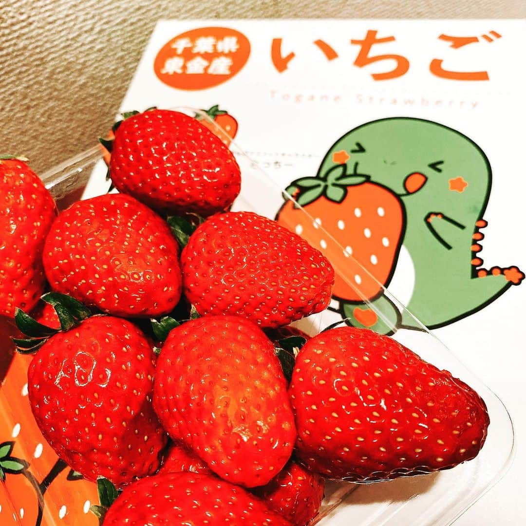 藤江れいなさんのインスタグラム写真 - (藤江れいなInstagram)「東金のいちご☺️🍓 一粒一粒が凄く大きくて甘いの！ いちご、だーいすき！ #いちご　#東金  #千葉県 #ちーばべりー #とっちー」2月28日 22時09分 - 01nyan0201