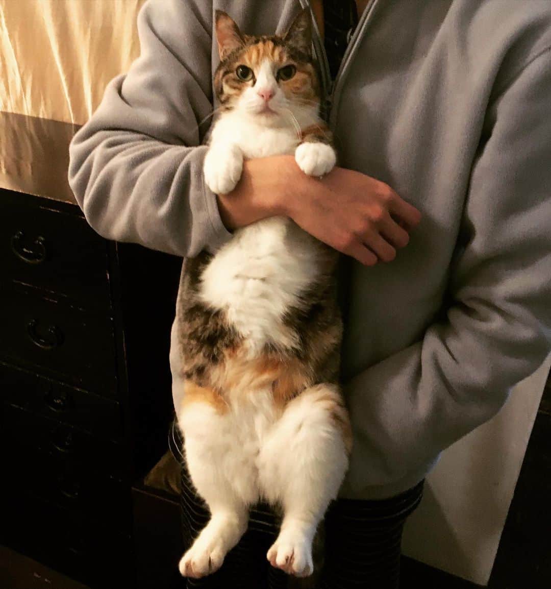 大鋸一正のインスタグラム：「ピーター。」