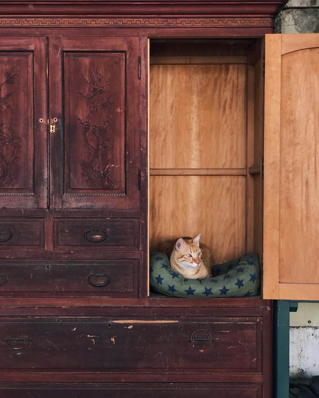 言身寸 in Tainan, Taiwanのインスタグラム