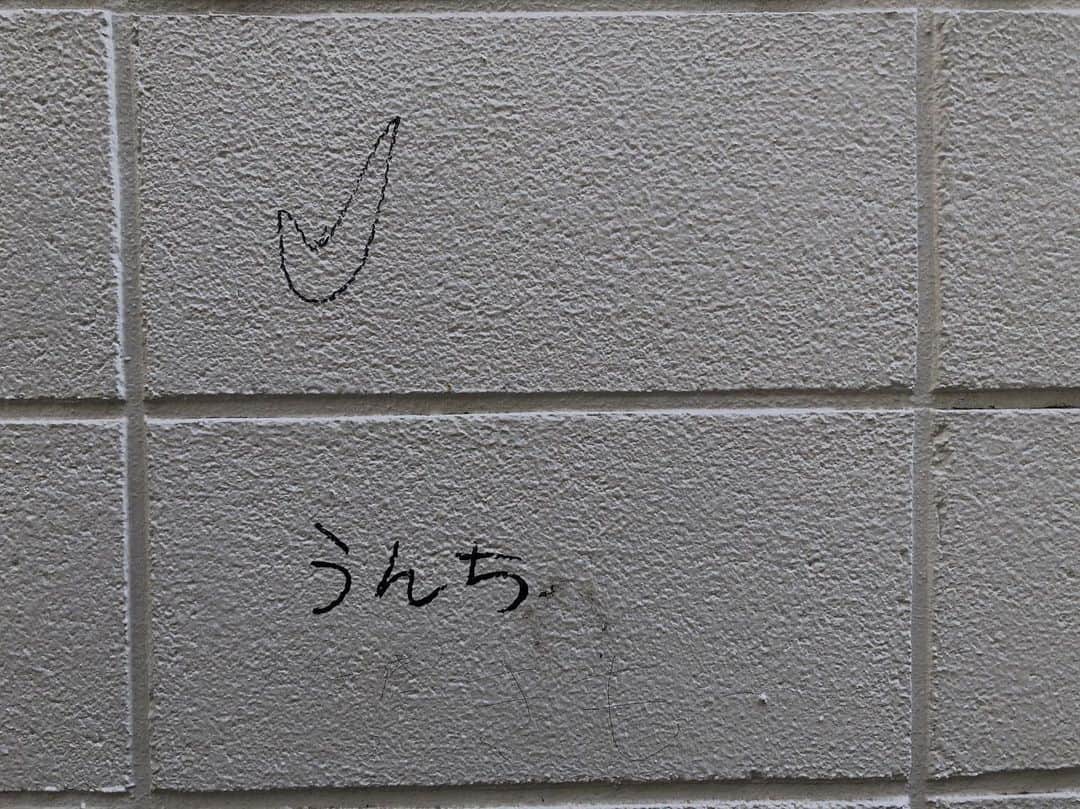阿知波妃皇のインスタグラム