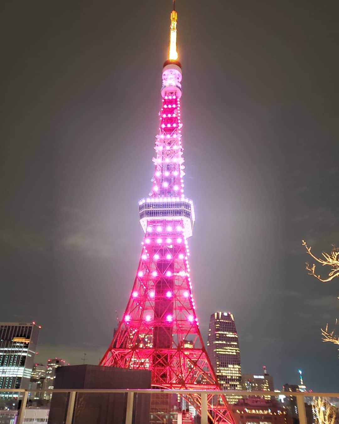 DJ KOOさんのインスタグラム写真 - (DJ KOOInstagram)「色々なことがあった１日ですね、、 東京タワーの癒しを皆さんへ！！ #東京タワー🗼 #DJKOO」2月28日 22時54分 - dj_koo1019