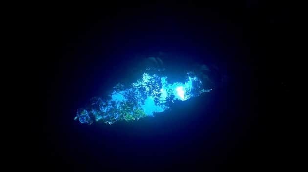 朝日放送「朝だ！生です旅サラダ」さんのインスタグラム写真 - (朝日放送「朝だ！生です旅サラダ」Instagram)「@aiaoki_official #ヤサワ諸島 の最北の島にある、神秘的な洞窟😇✨ #ビチレブ島 のナンディ空港から　#水上飛行機 に乗って行きます💙 洞窟は静かで海が真っ青💙💙💙 岩肌も白くて自然にできたとは思えないくらいかっこよくて、そこにうつる波紋がすごく綺麗でした🤍💙 フィジーでたくさん海を巡りましたが、まったく雰囲気は違うのに、どの海も最高に綺麗でした🏝💕 フィジーの海、また潜りに行きたいなぁ🧜🏼‍♀️🐠🐬♥️ _ #フィジーの旅ラスト #神秘的 #洞窟へ #静寂の時 #パシフィックアイランドエアー&ナヌヤアイランドリゾート #Pacific  Island Air &  Nanuya Island Resort #サワイラウ洞窟 #フィジー #Fiji _ #ABCテレビ #朝日放送テレビ #生放送 #土曜朝 #8時 #朝だ生です旅サラダ #旅サラダガールズ #青木愛 #海外 #旅  #travel #trip」2月28日 23時14分 - tabisalad