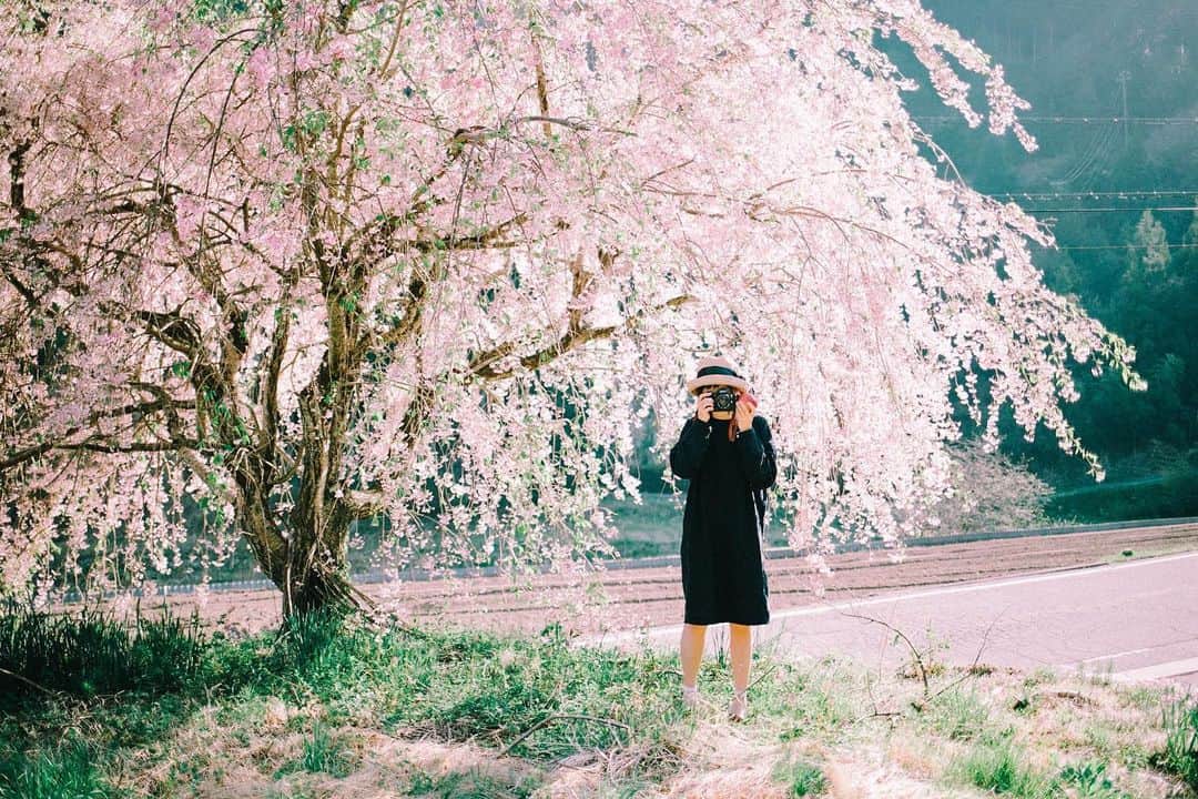 hiderin777のインスタグラム：「. . . . . sakura 🌸 . . . 世界に誇れる日本の四季。 桜が咲く頃には落ち着いてたらいいなぁ . . . . shot by 日出木りんご　@ringostar.desu . .」