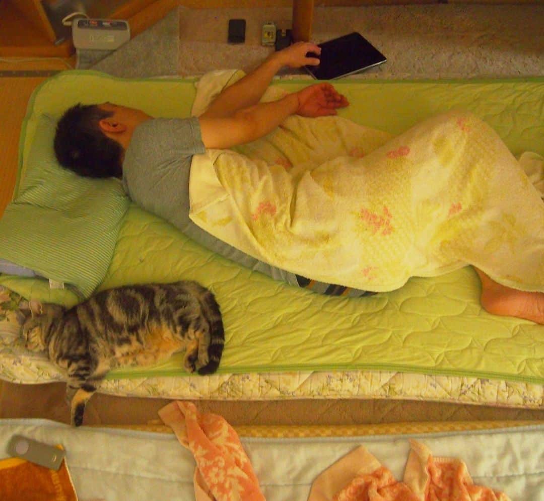 nemuru_catさんのインスタグラム写真 - (nemuru_catInstagram)「#春ちゃん#眠る夫  長年いっしょに寝ていると 寝相が似てくるわけで… 春ちゃんは自分のこと 人間だと思ってたし😸 おやすみにゃさ〜い💤💤 * #ねこ部#cat#cats#neko#猫#catsofinstagram#bestmeow#catlover#instagramjapan#ふわもこ部#アメリカンショートヘア#americanshorthair」2月29日 0時17分 - nemuru_cat