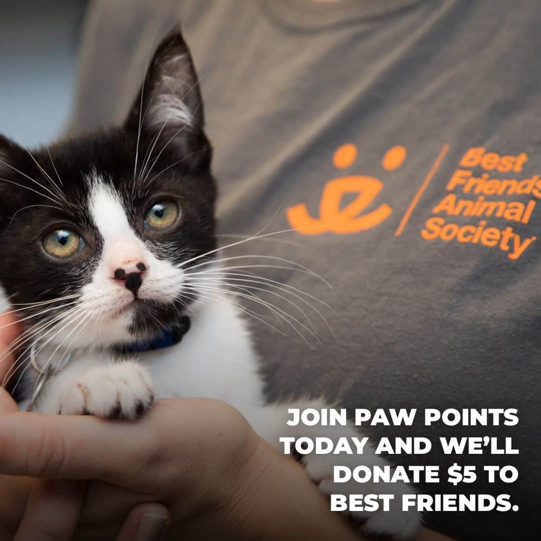 Fresh Stepのインスタグラム：「💗Meow! Sign up for the Paw Points Rewards program and we’ll donate $5 to Best Friends Animal Society in support of their mission to Save Them All™. 💗 Already a member? Be sure to let your best friends know! 😸👬😸 Ends on 12/31/2020. Up to $50,000. To join, and for details, see link in bio or at http://ow.ly/rJZH50yt2ws」