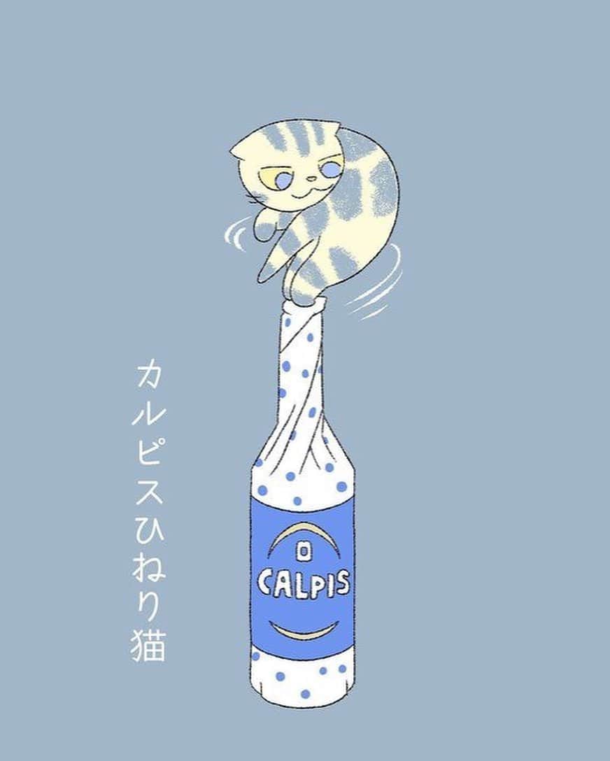 Shishi-maruさんのインスタグラム写真 - (Shishi-maruInstagram)「🐱ねこのきもちWEBMAGAZINE にて、猫エッセイが更新されました。インスピレーションの元ししまるとの遊びについてです😄是非ご一読ください😸 【渋ネコししまるさん】#36 ｜ねこのきもちWEB MAGAZINE https://cat.benesse.ne.jp/lovecat/content/?id=65451 🐱My essay about Shishi-maru is serialized in a weekly magazine:) ーーーーーーーーーーーーー 🌺「渋ネコ ししまるさん」ねこのきもちWEB MAGAZINE にて毎週金曜日エッセイの連載中 ーーーーーーーーーーー 📕「ぷっちねこ。」「3匹のちいさな猫を召喚できたなら」「ちいさな猫を召喚できたなら」徳間書店より単行本発売中 ーーーーーーーーーーー ⭐︎ねこ漫画→@tacos_cat 🌺Twitter →@taco_emonemon ーーーーーーーーーーー」2月29日 1時20分 - emonemon