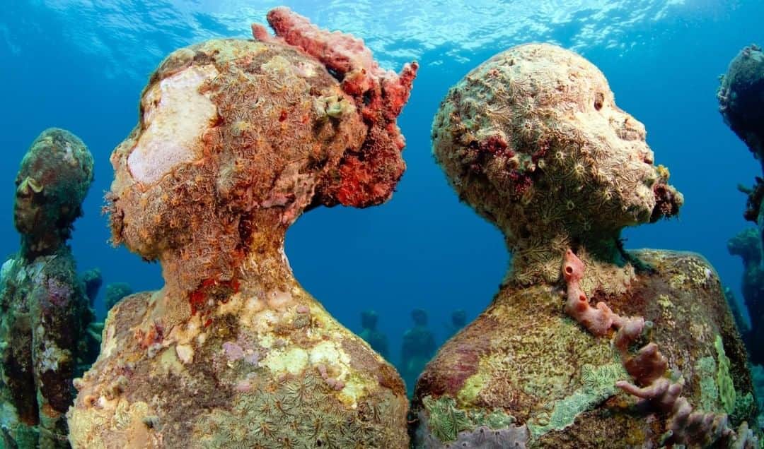 TED Talksのインスタグラム：「These ethereal, underwater sculptures are giving us major Pirates of the Caribbean vibes. Artist Jason deCaires Taylor has created over 500 sunken cement installations like this, which become part of the ecosystem as coral and other marine life grows on them. "As soon as we submerge the sculptures, they're not ours anymore," Taylor says. "They belong to the sea. As new reefs form, a new world literally starts to evolve." Click the link in our bio to learn more about these beautifully haunting works of art — and how they can help protect the world's reefs and oceans.」
