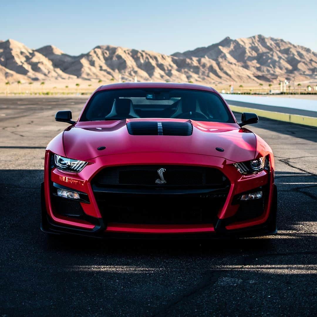 Fordさんのインスタグラム写真 - (FordInstagram)「Race Red, standing by. . Shelby and GT500 are registered trademarks of Carroll Hall Shelby Trust. . #Ford #FordMustang #ShelbyGT500」2月29日 2時00分 - ford