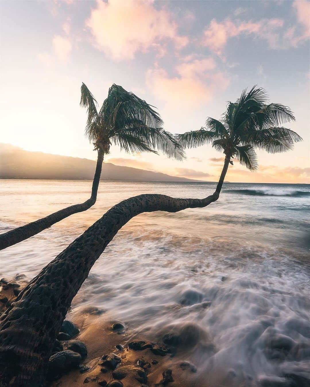 PolarProさんのインスタグラム写真 - (PolarProInstagram)「Photo of the Day: Weekend retreat 🌴 | Shot on #Sony a7riii | #Sony 16-35 GM | #PeterMcKinnon #VND 2-5 stops | 📸: @meshna — “In order to capture this photo with movement in the water while avoiding blurring in the trees, I used a tripod and the PMVND to merge two photos. The first shot of the trees was taken with a fast shutter and the VND set to 2 stops to freeze the trees in place. Without moving the tripod, I rotated the VND to 5 stops, and slowed the shutter to capture the movement of the waves. I then combined the two images in photoshop using layer masks.”」2月29日 2時38分 - polarpro