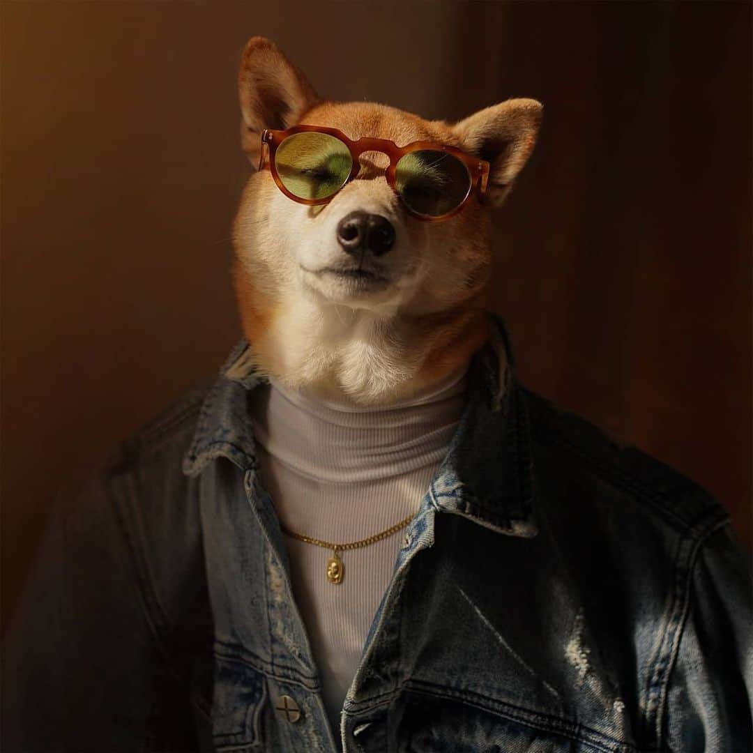 Menswear Dogのインスタグラム：「Turtling into the Sunset  Sunglasses: vintage custom Turtleneck: @everlane  Denim jacket: @ksubi  Necklace: family heirloom」