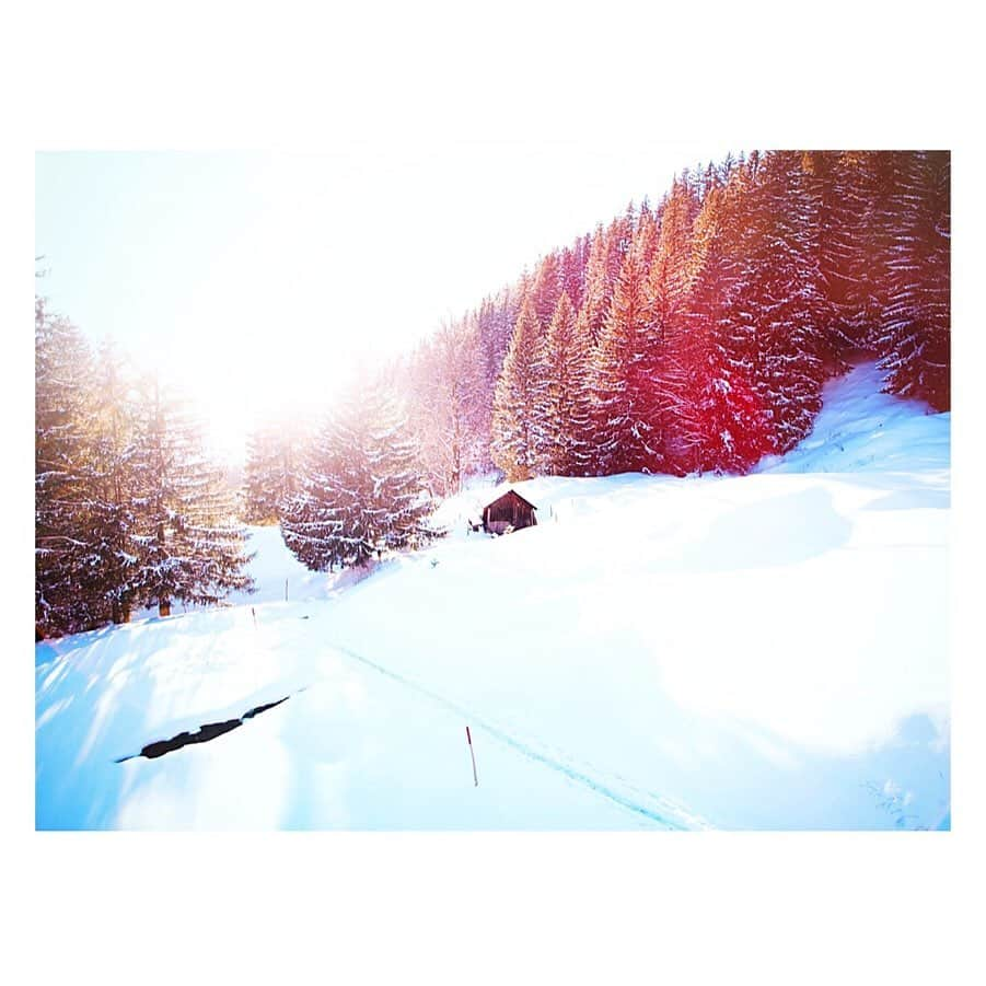 高橋ヨーコさんのインスタグラム写真 - (高橋ヨーコInstagram)「スイス🇨🇭アルプスのおかげで良い雪景色にたくさん出会えた2月だった。﻿ 冬も終わろうとしているけれど、こんな雪景色がまた来冬もどうか見られますように。﻿ So grateful I got to see the beautiful scenery with the amazing people. Hoping that all we can come back 🇨🇭 soon.﻿ Thanks to @myswitzerland  @andermatt_swiss_alps @interlaken @swisstravelsystem @flyswiss﻿ and the team! ﻿ ﻿ ﻿ #swisstravelsystem﻿ #inLOVEwithSWITZERLAND﻿ #beautifuldestination﻿ #whiteland﻿ #travelphoto﻿ #mytravelswiss﻿ #Andermatt﻿ #interlaken﻿ #snowmountain﻿ #snowlovers﻿ #sponsored﻿ ﻿」2月29日 14時15分 - yoko1970