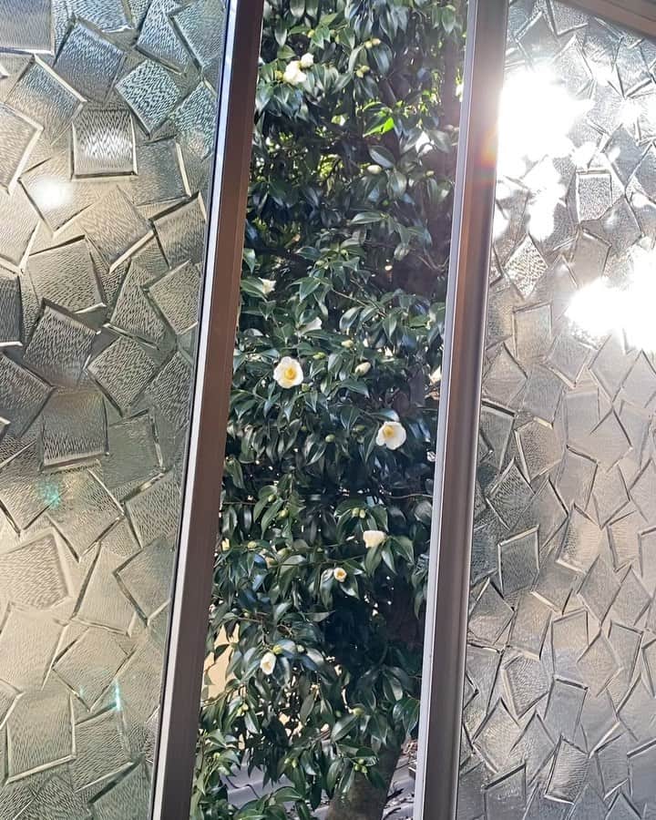 Nana Ninomiyaのグルメインスタ