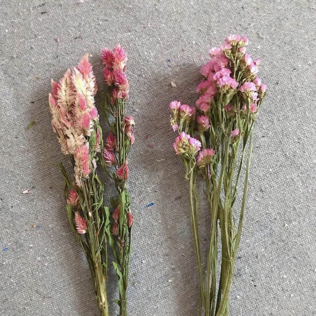 3COINSさんのインスタグラム写真 - (3COINSInstagram)「❁ dried flower ❁⠀ ⠀ ⠀ ⠀ ⠀ ドライフラワー⠀ 各 300円(税込330円)⠀ ⠀ ⠀ ⠀ インテリアにオススメ◎⠀ 人気のドライフラワーが再入荷しております🌷⠀ ⠀ ⠀ ⠀ スタッフによるステキな投稿が多数ございましたので、本日は順次ご紹介致します🌟⠀ ⠀ ⠀ 続いては、イオンモール幕張新都心店Junko(@3coins_makuhari.junko )です☺️⠀ ⠀ ⠀ ✎*。＿＿＿＿＿＿＿＿＿＿＿＿＿＿＿＿＿＿＿＿＿＿⠀ ⠀ ドライフラワー💐﻿⠀ ﻿⠀ たくさん入荷してます！！﻿⠀ たくさんかかえてとりました♥笑﻿⠀ ﻿⠀ ピンク多めで春気分...🐝…﻿⠀ ﻿⠀ 1束￥300+tax﻿⠀ ※1枚目の写真は6束くらい持っています♥﻿⠀ ﻿﻿⠀ ﻿﻿⠀ ﻿﻿⠀ #3COINS#スリーコインズ#スリコ﻿﻿﻿﻿﻿﻿﻿﻿⠀ #ドライフラワー#スワッグ#スワッグのある暮らし#ドライフラワーブーケ#ドライフラワーブーケ#男前インテリア#シンプルインテリア##300円#300均#3COINS新商品#スリコ人気商品#3COINS人気商品#3COINS購入品#幕張新都心#幕張新都心イオン#イオンモール幕張新都心 #幕張メッセ#お買い物#プチプラ#プチプラ雑貨#プチプラ好き﻿﻿﻿⠀」2月29日 15時00分 - 3coins_official