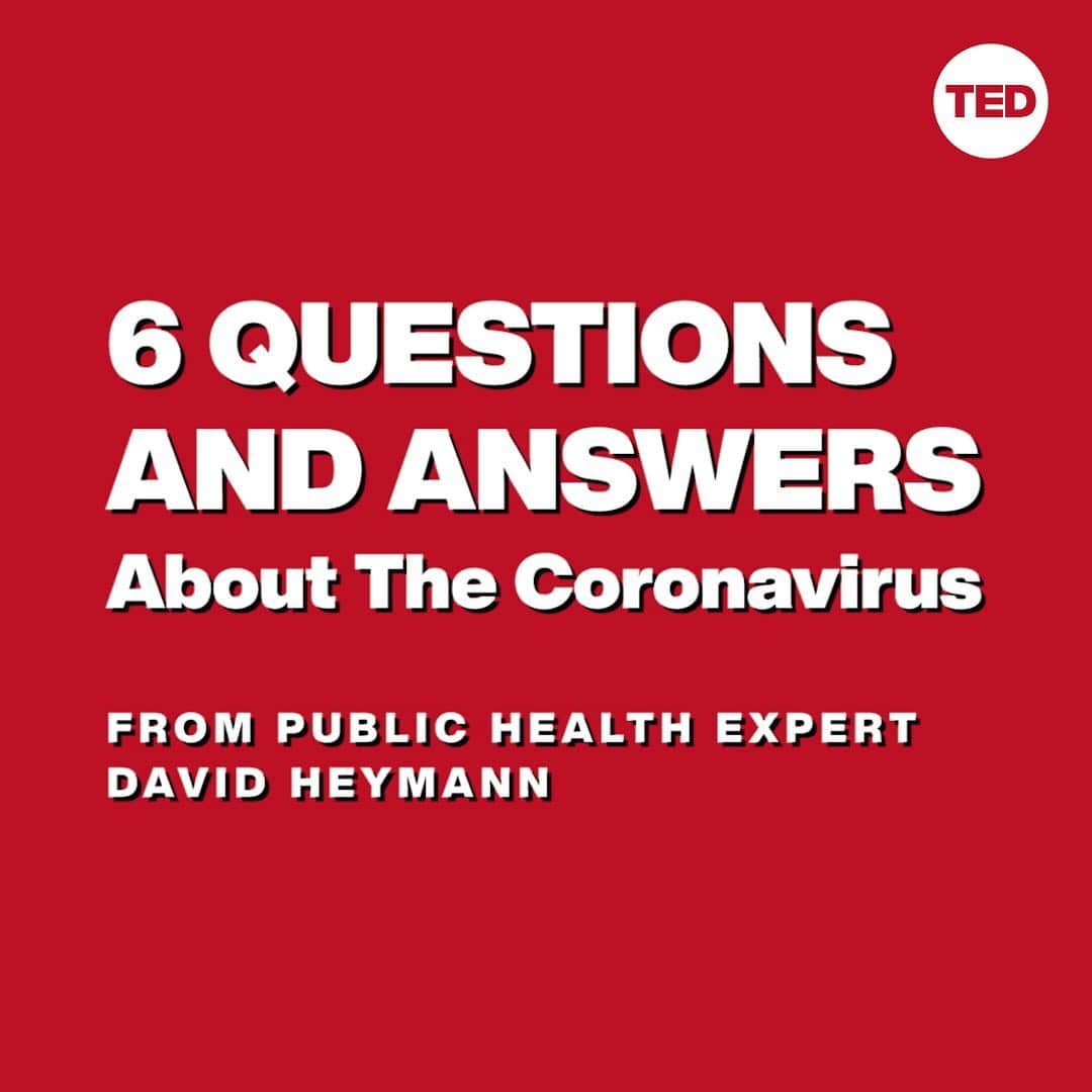 TED Talksのインスタグラム：「How does the coronavirus spread? Who's most at risk? How can we protect ourselves? Infectious disease and public health expert Dr. David Heymann shares what we know — and what we still don’t know — about COVID-19. Swipe through for the answers to six important questions about the epidemic, and click the link in our bio to watch the full talk.」