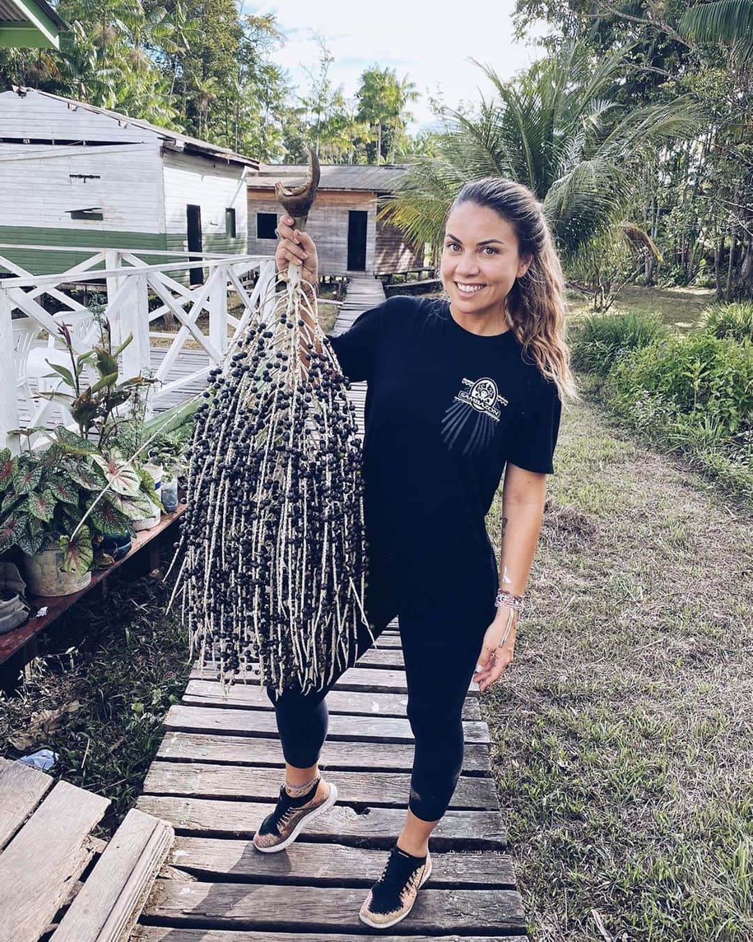 のインスタグラム：「これがブラジルのアマゾンで収穫されたばかりの有機アサイーの房です💜  アマゾン川の辺りで20-30mくらいの椰子の木にこの房がついております。  木の枝の黒い粒がアサイーの実で、ブルーベリーよりもひと回り大きいサイズですが、種が大きな部分を占めて、過食部は5%に過ぎない貴重なフルーツなのです💜  #アサイー　#抗酸化　#ポリフェノール#食物繊維　#オレイン酸　#アマゾン　#スマイル　#ブラジル　#sambazon #オーガニック　#有機　#ファイトケミカル #アンチエイジング効果 #アスリート　#ブラジル人」