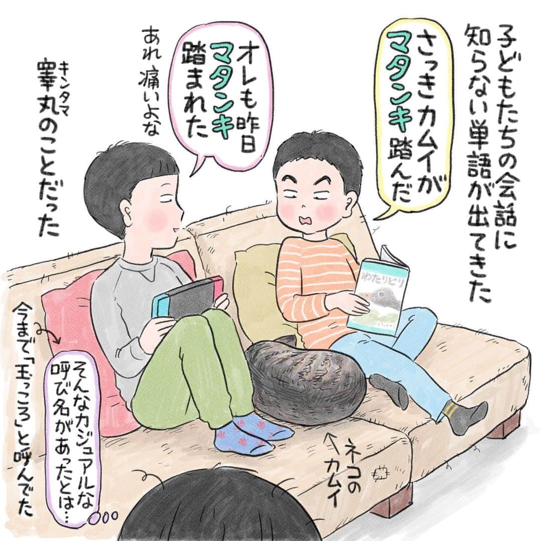 マルサイのインスタグラム