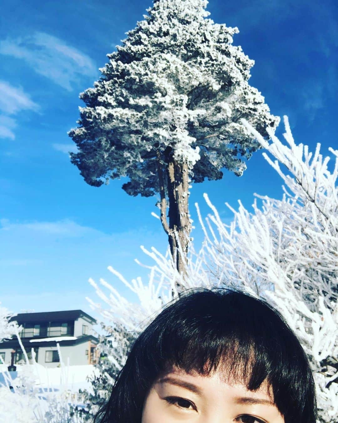 バービーさんのインスタグラム写真 - (バービーInstagram)「つい先日、実家の庭にできた樹氷。当たり前の景色すぎて、これに樹氷という名前があることも、こんなに美しいことも知らなかった！  北海道のみなさんー！！ せっかくだからゆっくり休んで、この週末乗り切りましょうね✨  #雪は天然のレフ板  #樹氷をバックに写真撮ったら厳かなオーラ出てまるで美和さん #それは言い過ぎ  #北海道」2月29日 10時27分 - fallin.love.barbie