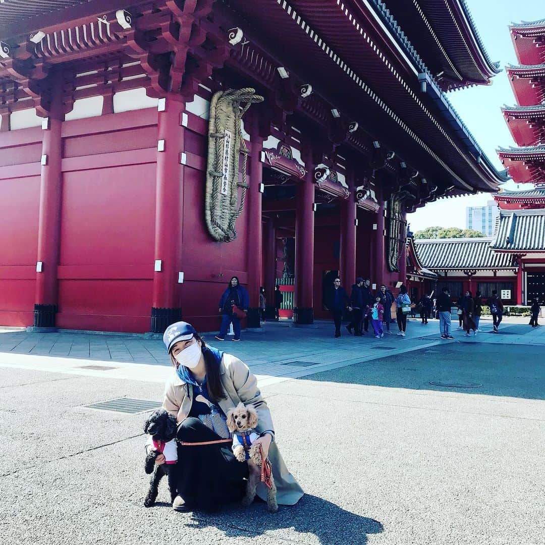 井上貴子のインスタグラム：「写真は 浅草寺さんに行った時のもの。  ガラガラで。  様々な国の言葉が飛び交って ちょっと違和感があった数ヶ月前がとても懐かしい…  どうしても和装に見えない お着物を着た国外の皆様は 日本人に歩み寄り 日本の文化に触れて 日本を活気付けてくれていたんだね。  混んでる時は 文句言ってたけど…  新型コロナの影響は かなり大きいです。  3月は22日に LLPW-X富山大会でしたが  皆様方のご健康を第一に考慮し延期とさせていただきます。 なにとぞご理解くださいますようお願い申し上げます。  Happyで^ ^  #井上貴子  #LLPWX #女子プロレス #紅緒と柊音 #トイプードル #浅草寺 #LLPWX富山大会延期」
