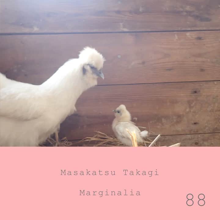 高木正勝のインスタグラム：「こういう気持ちやったんよと、未来へ。  Marginalia マージナリア #88  https://takagimasakatsu.bandcamp.com」