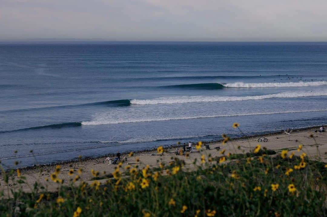 surflineさんのインスタグラム写真 - (surflineInstagram)「Spring is in the air in SoCal. Today, captured by @miahklein」2月29日 12時48分 - surfline