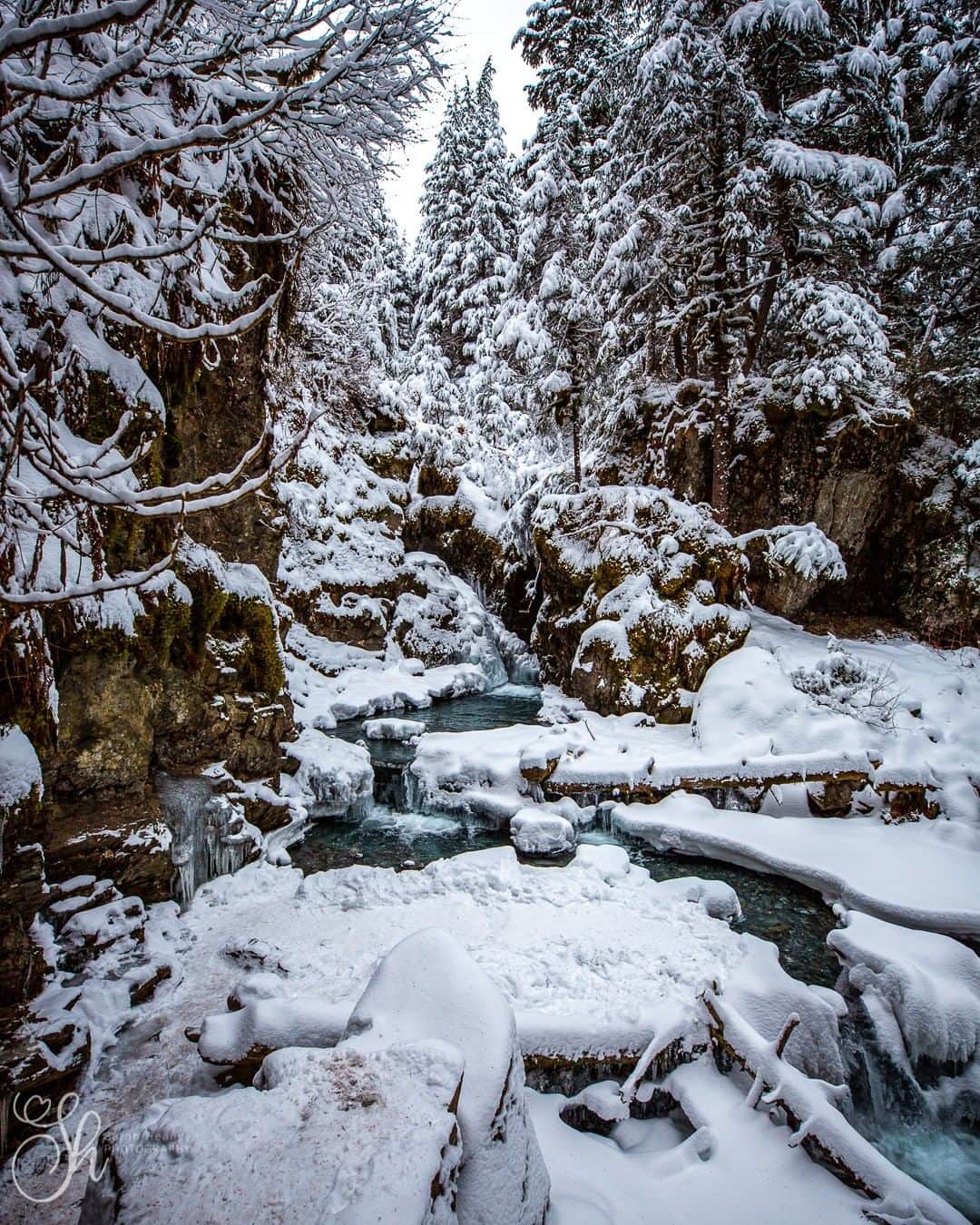 CANON USAさんのインスタグラム写真 - (CANON USAInstagram)「"It's always an adventure going to Virgin Creek Falls! One of my favorite little hikes, it's even beautiful in the winter!" #MyCanonStory  Photo Credit: @sarah.heaney.photography  Camera: #Canon EOS 5D Mark III Lens: EF 16-35mm f/2.8L III USM Aperture: f/2.8 ISO: 250 Shutter Speed: 1/80 sec Focal Length: 16mm」2月29日 23時20分 - canonusa