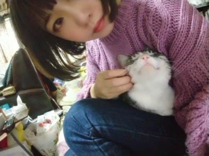 のインスタグラム：「にゃみーん( ΦωΦ )  #cat #catstagram #catsofinstagram #catlovers #ねこ #ねこ部 #ねこすたぐらむ #ねこのいる生活 #ねこ動画 #もふもふ #もふもふ部 #自撮り #selfie #三毛猫 #美猫 #냥스타그램 #캣스타그램 #얼스타그램 #셀피」