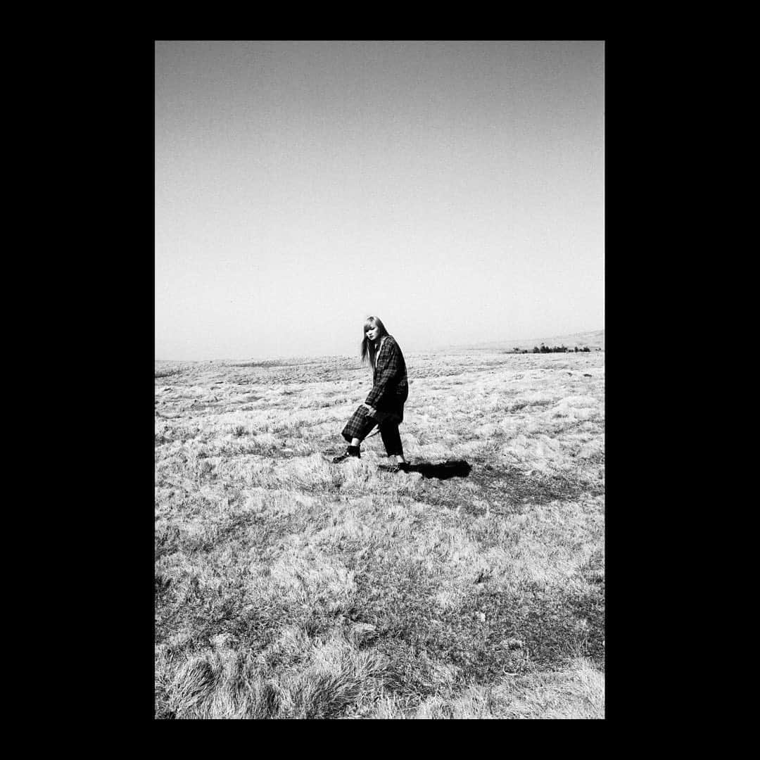 島田大介のインスタグラム：「ASPIDISTRAFLY  #daisukeshimadaphotograph  #leicaphotography」