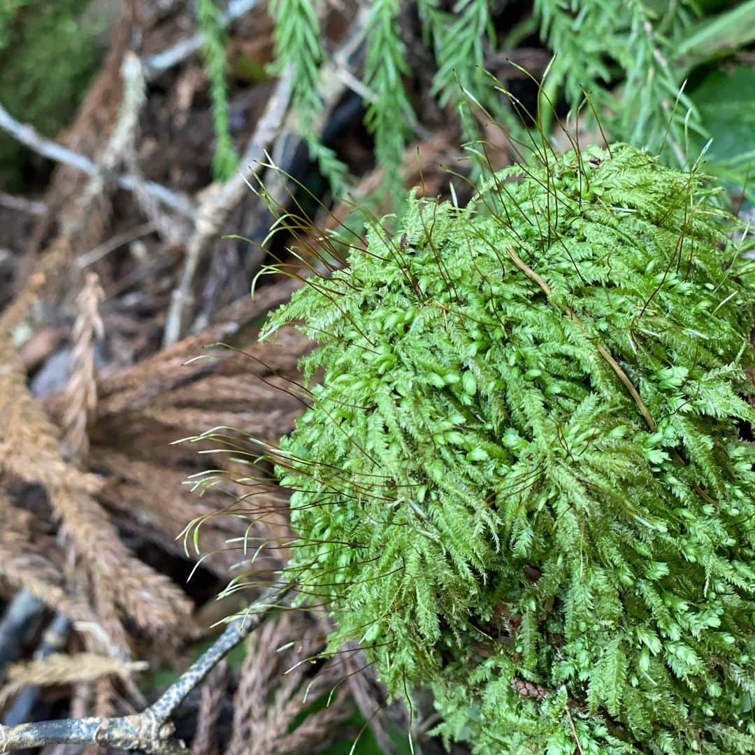 永田琴のグルメインスタ