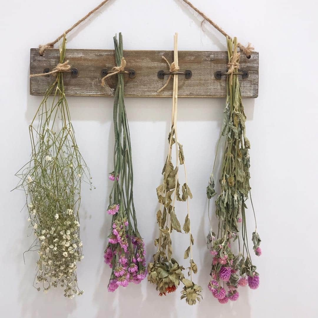 3COINSさんのインスタグラム写真 - (3COINSInstagram)「❁ dried flower ❁⠀ ⠀ ⠀ ⠀ ⠀ ドライフラワー⠀ 各 300円(税込330円)⠀ ⠀ ⠀ ⠀ インテリアにオススメ◎⠀ 人気のドライフラワーが再入荷しております🌷⠀ ⠀ ⠀ ⠀ スタッフによるステキな投稿が多数ございましたので、本日は順次ご紹介致します🌟⠀ ⠀ ⠀ 続いては、イオンモール名古屋茶屋店Naoko(@3coins_chaya.naoko )です☺️⠀ ⠀ 店舗により在庫が異なりますので、お立ち寄りの店舗までお問い合わせください。⠀ ⠀ ⠀ ✎*。＿＿＿＿＿＿＿＿＿＿＿＿＿＿＿＿＿＿＿＿＿＿⠀ ⠀ ⠀ やほやほ〜🍓﻿﻿⠀ ﻿﻿⠀ 今日はお花が好きな女子必見💓﻿﻿⠀ 3COINSの﻿﻿⠀ ドライフラワーで﻿﻿⠀ お洒落な壁掛けをつくろ😊🛠﻿﻿⠀ のコーナー！﻿﻿⠀ ﻿﻿⠀ いえーい🙌﻿﻿⠀ ﻿﻿⠀ 3COINSにドライフラワーがあるのって﻿﻿⠀ 知ってました？💐﻿﻿⠀ フェイクじゃなくて本物のドライフラワーだよ💓﻿⠀ ﻿﻿⠀ かわいくてお洒落で人気💓﻿﻿⠀ ﻿﻿⠀ インスタ映えに必須なドライフラワー🌷﻿﻿⠀ ✔︎インテリアに ✔︎撮影用に﻿﻿⠀ ﻿﻿⠀ 今回は"インテリア"を提案👆﻿﻿⠀ ﻿﻿⠀ 3COINSで買うもの﻿﻿⠀ ・ドライフラワー４束﻿﻿⠀ 他で用意するもの麻紐﻿﻿⠀ ﻿﻿⠀ ⠀ ﻿﻿⠀ ﻿作り方も麻紐でドライフラワーをまとめて﻿⠀ ホルダーに通すだけなので簡単💮﻿⠀ ﻿⠀ ベッドルームやリビングに掛けるだけで﻿⠀ お洒落な空間に💕﻿⠀ ﻿⠀ 春だしお花をたのしも🥰﻿⠀ ﻿⠀ ¥300+tax ﻿⠀ ﻿#3coins #3coinsplusイオンモール名古屋茶屋店 #イオンモール名古屋茶屋 #スリーコインズ #スリコ #ドライフラワー #ドライフラワーのある暮らし #お花のある暮らし #春 #プチプラ雑貨 #ナチュラルインテリア #300円 #お花好きな人と繋がりたい  #diy女子 #インテリア雑貨 #模様替え #locari #mery女子 #新生活 #リビング #sucle_」2月29日 18時00分 - 3coins_official