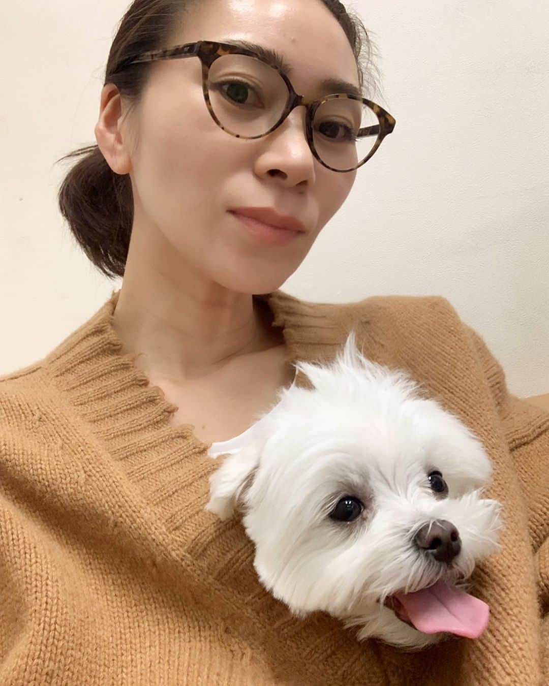 大日方久美子さんのインスタグラム写真 - (大日方久美子Instagram)「・ 家の中ではこれでもかー！ってくらい我がもの顔のくせに、外に一歩出た途端震えが止まらなくなって、過保護にするつもりはないんだけどあまりに震えるもんだからニットの中に入れたら、落ち着いた。  でもこれから注射。 ・ ・ #保護犬ムーちゃん #内弁慶ムーちゃん #家の中では大暴れ #TVに映る動物たちには凸るくせに #保護犬 #元保護犬 #マルチーズ #保護犬を家族に  #犬のいる暮らし  #犬なしでは生きていけません会」2月29日 17時54分 - kumi511976