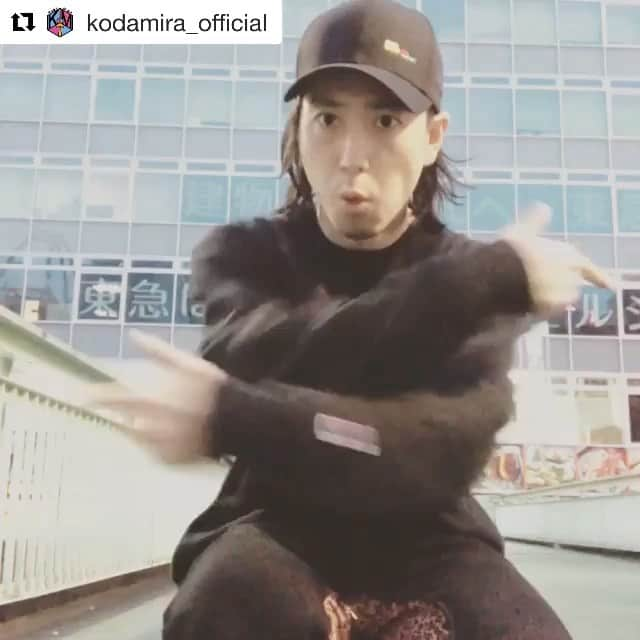 ZOOMADANKEのインスタグラム