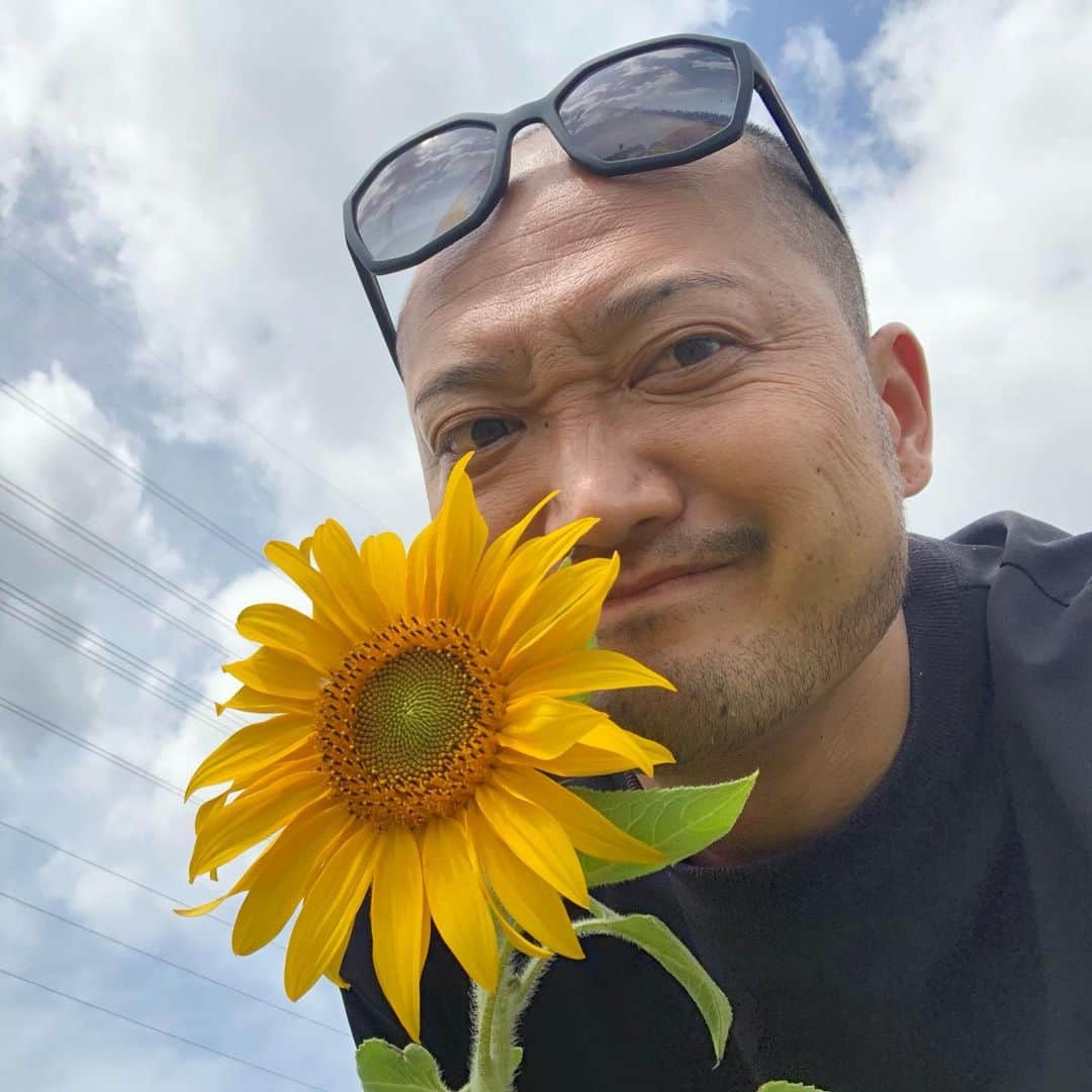 石原孝尚のインスタグラム：「3ヶ月前に種をまいた、 沖縄のひまわり畑に来ました🌻  ひまわりのような 明るく笑顔あふれるチームが 社会に増えますように😊  #ひまわり  #ひたわり畑  #沖縄  #北谷  #幸せ  #happy」