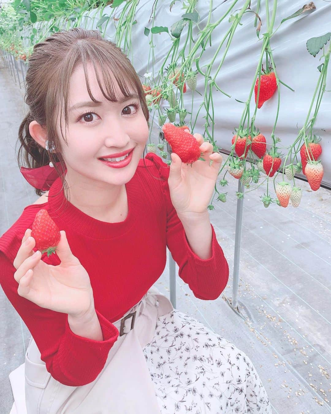 沢井里奈さんのインスタグラム写真 - (沢井里奈Instagram)「♡ . 今季初のいちご狩り🍓🌸 甘くて大きくて美味しかった🥺💕💕 . . #さわーコーデ 👗💝 tops♡ #willselection . skirt♡ #rirandture . . #strawberry #instafood #ootd #coodinate #instafashion #instalove #instalove #사복 #옷스타그램 #팔로우 #셀카 #얼스타그램 #메이크업 #いちご狩り #いちご #澤田農園 #常滑 #今日のコーデ #いちご狩りコーデ #沢井里奈」2月29日 19時10分 - sawairina