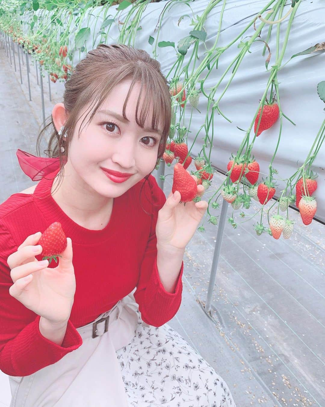 沢井里奈さんのインスタグラム写真 - (沢井里奈Instagram)「♡ . 今季初のいちご狩り🍓🌸 甘くて大きくて美味しかった🥺💕💕 . . #さわーコーデ 👗💝 tops♡ #willselection . skirt♡ #rirandture . . #strawberry #instafood #ootd #coodinate #instafashion #instalove #instalove #사복 #옷스타그램 #팔로우 #셀카 #얼스타그램 #메이크업 #いちご狩り #いちご #澤田農園 #常滑 #今日のコーデ #いちご狩りコーデ #沢井里奈」2月29日 19時10分 - sawairina