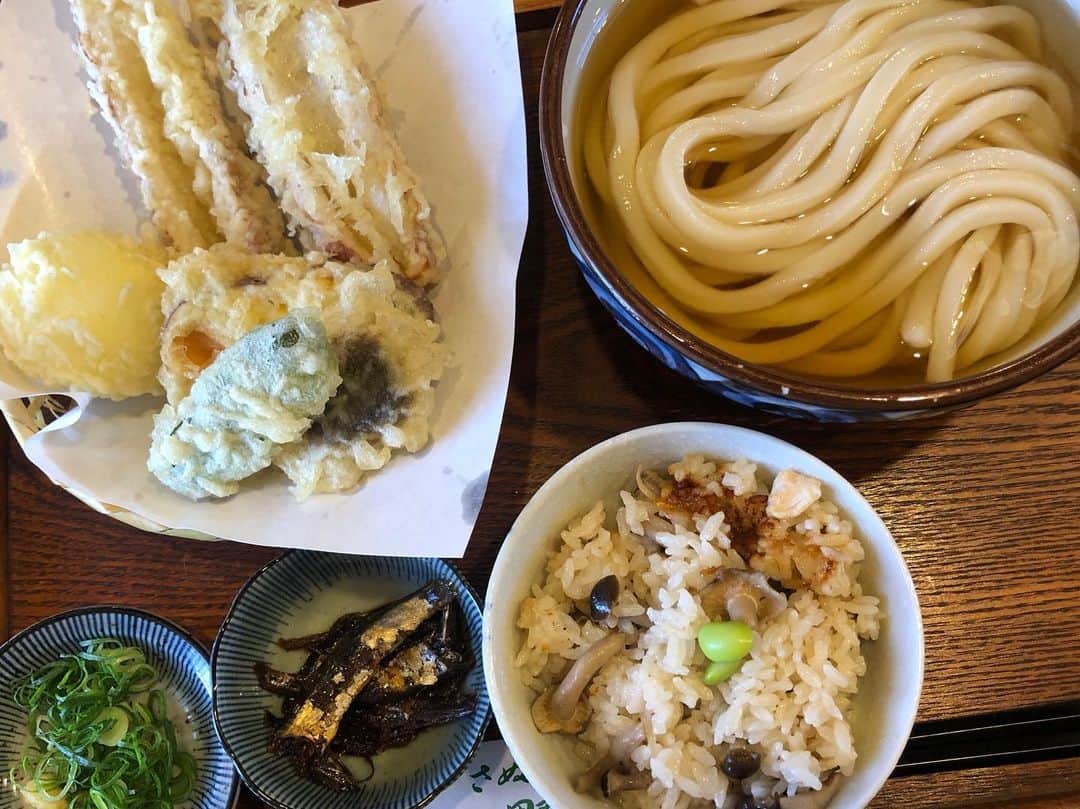 木下望さんのインスタグラム写真 - (木下望Instagram)「この前大好きな野の香さんに行ってきました❤️ ・ 世界一好き！出汁もうどんも天ぷらも炊き込みご飯も120点！ ・ うどんはもちろんだけど、ここの天ぷらやばいよ❤️ちくわ天をソースで食べるのがオススメ！ ・ 冷かけが1番好き！大盛りにしたら量が多いかも🕵️‍♀️ ・ #うどん #讃岐うどん #浜松 #浜松グルメ #毎日うどん #毎日うどん生活 #のんちゃんうどん #野の香」3月1日 0時35分 - nonchan_starmarie