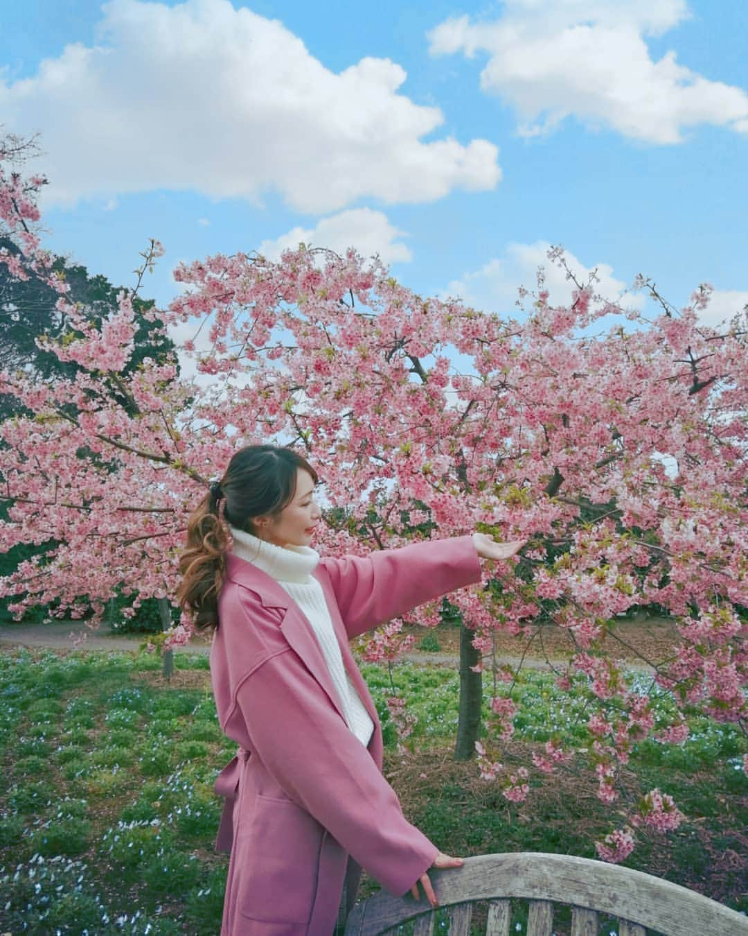 彦坂まなみさんのインスタグラム写真 - (彦坂まなみInstagram)「今年はお花見もできなさそうですね、、🥺 * 大分では河津桜がキレイでした🌸 * 1日でも早くコロナウイルスが終息しますように🌿🌿🌿 * * #エアお花見  #桜 #cherryblossom #🌸 #花見  #大神ファーム #大分県 #ogafarm」2月29日 19時23分 - ma7am1