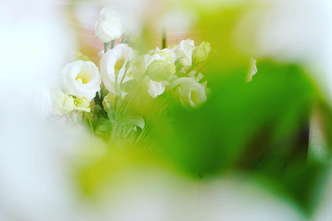 麻衣子のインスタグラム：「. . 頭ん中のイメージは大事。 想像力も必須。 計算も不可欠。 . だって物事は そのように進むんだから。 . . 2020.02.29 #トルコキキョウ#私の花の写真  #instagram #instagramjapan#beauty#nicolaibergmann#flower_daily#instaflower#flowerpic#flowerarrangement#vscoflowers#lifestyle#nisnap#igersjp #ザ花部#フラワーアレンジメント#花のある暮らし#花#暮らし#フラワー#器#floralphotograph #floralphoto #florals#花の写真館」
