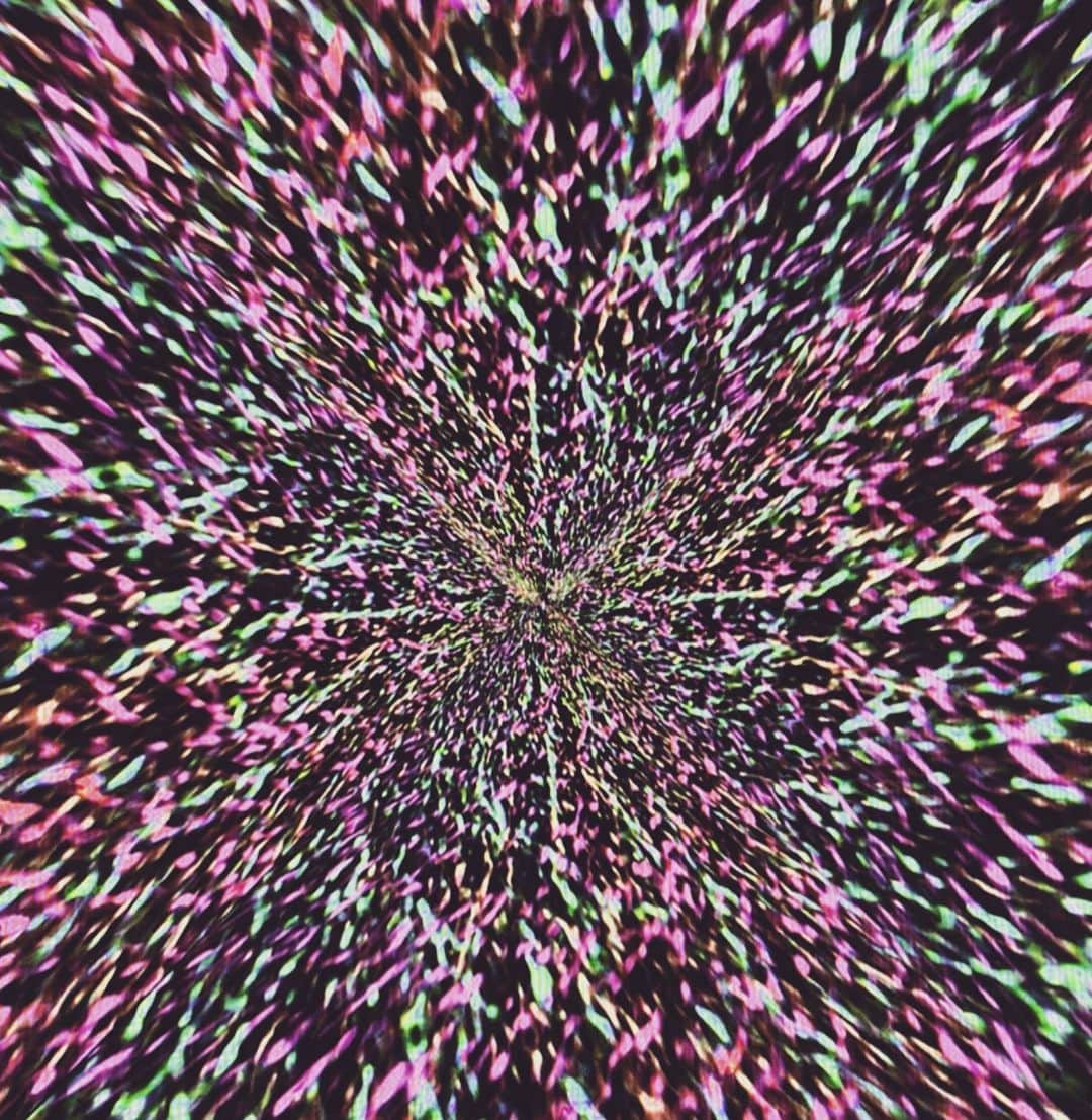 YOSHIROTTENのインスタグラム：「🕸」