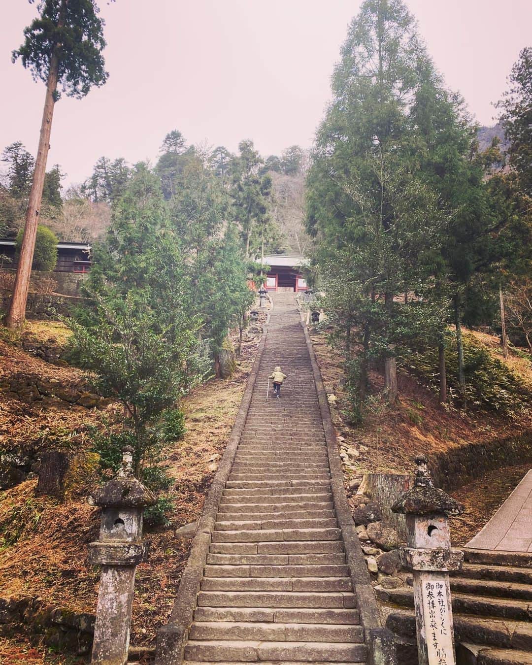 SHOCK EYEさんのインスタグラム写真 - (SHOCK EYEInstagram)「そそり立つ圧巻の妙義山の麓に鎮座する妙義神社⛩ 行きたい神社リストの一つだったのだけど、、 まあ、とにかく良かった⤴️⤴️⤴️ 杖を借りて、圧倒されるほどの長い石階段を登っていくと、辿り着く本殿。 鮮やかな朱色に綺麗な造形が施されていてとても立派だったよ✨ 本殿の裏には、天狗社👺 子供達も珍らしく（特に次男w）とても気に入ってくれたよ✨ パワーをとても感じる神社で、大きな石の上や、水辺、巨木の辺りなど至る所に小さな社があって雰囲気も良し。 いやー、大のお気に入りの神社になりました😊 : Myogi Shrine is located at the foot of the magnificent Myogi Mountain. It was one of the shrines I wanted to go to, which was awesome. I borrowed a cane and climbed the overwhelmingly long stone stairs to reach the main shrine. The main shrine was vivid vermilion, beautifully shaped and very splendid. There is Tengusha behind the main hall. It was rare for children. Especially the second son liked it very much. It is a shrine where you can feel the power very much, and there are small shrines everywhere, such as on large stones, on the waterside, around giant trees, and the atmosphere is good. Well, it became a big favorite shrine.  #Myogi Shrine #Shrine #Gunma # Myogiyama # shintoshrine #shrire #myougishrine  #妙義神社 #神社 #群馬県 #妙義山 #jinja」2月29日 20時34分 - shockeye_official