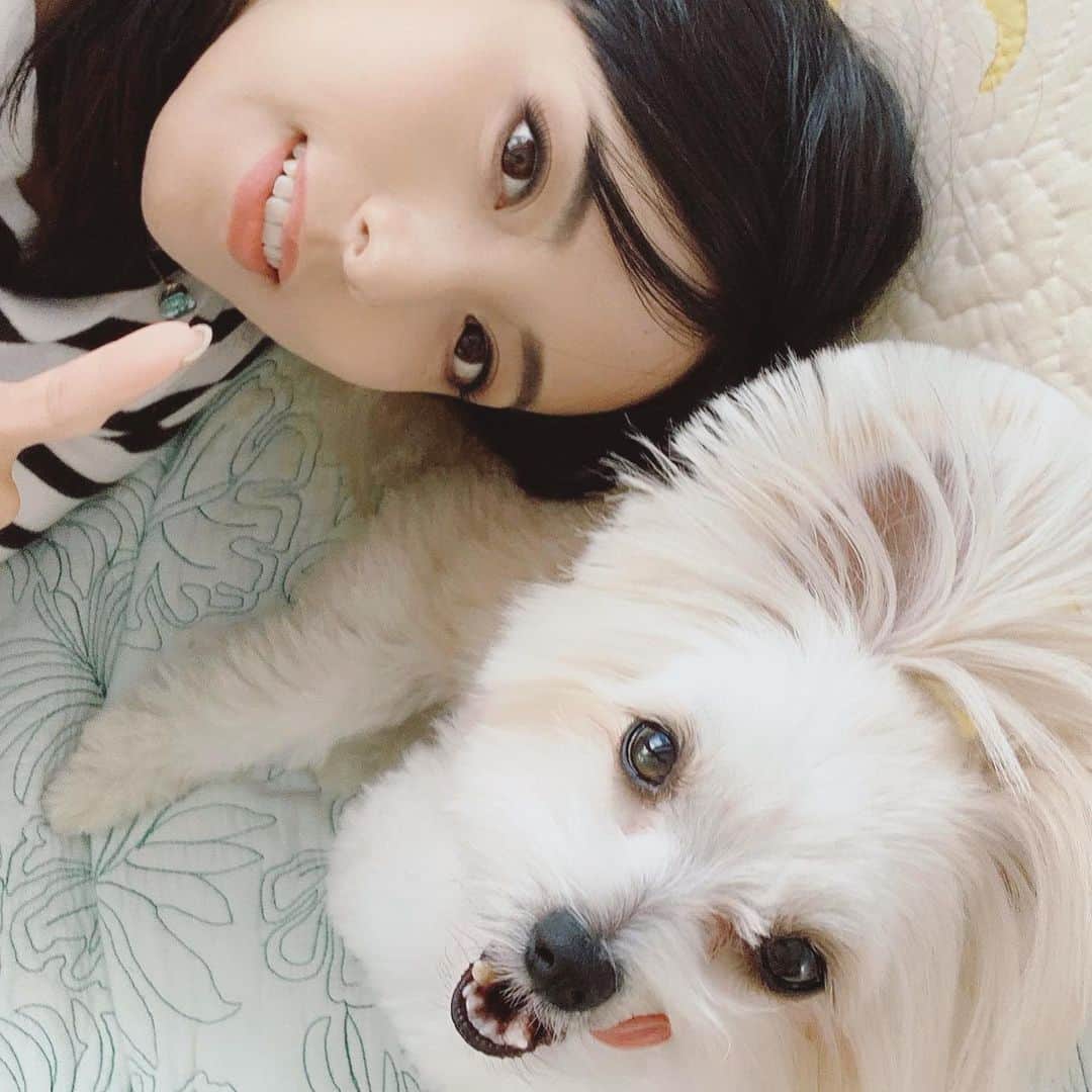 のインスタグラム：「すてきな日曜日を✨ ✴︎ なかなか大変な状況だけれど🌎 ✴︎ みんなで乗り切ろう☺️ ✴︎ #ウイルス飛んでけ #素敵な日曜日を #dogslover #ボクは元気」