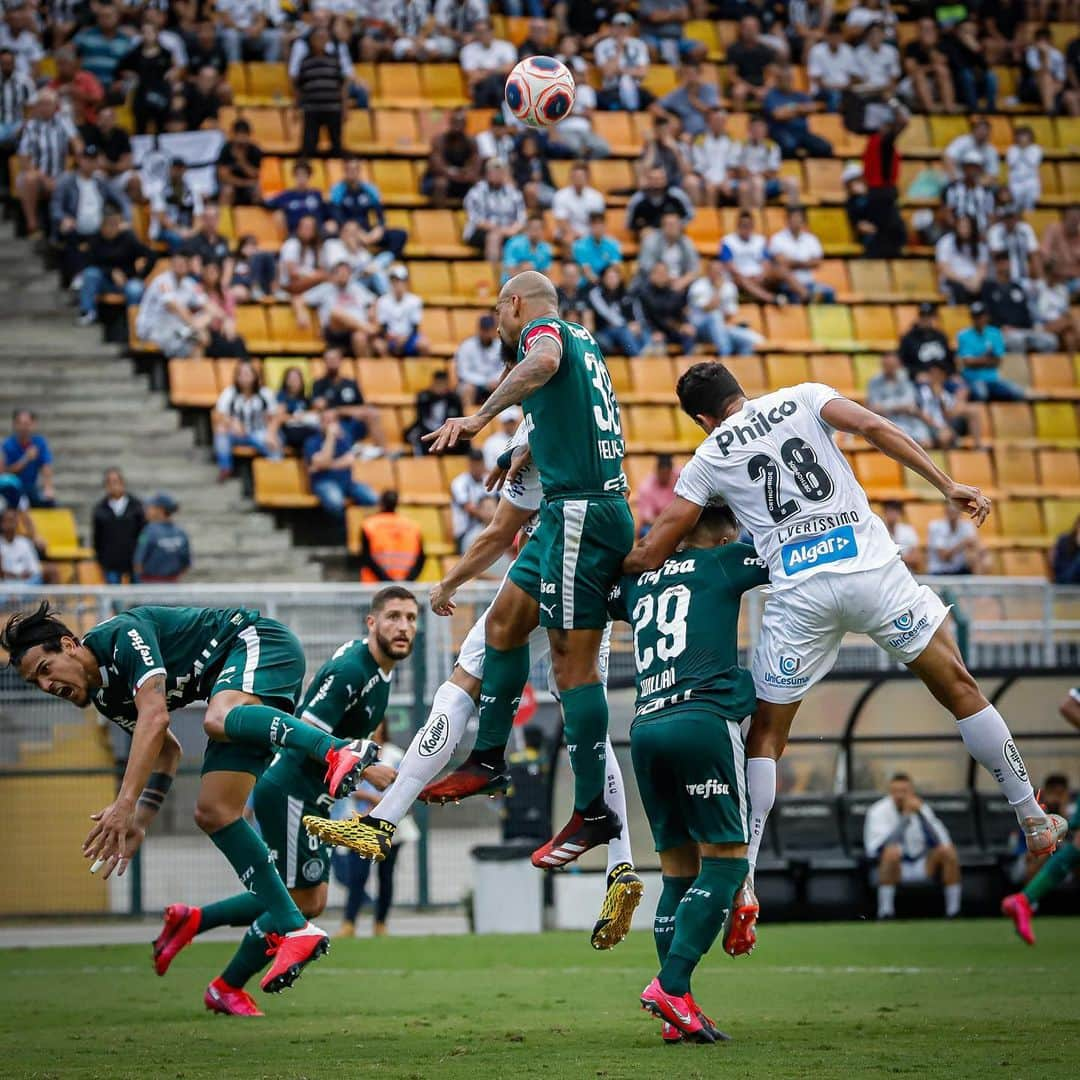 フェリペ・メロさんのインスタグラム写真 - (フェリペ・メロInstagram)「My Job!! 📸 @beto.miller #ousado #Deusébomeodiaboévacilão #palmeiras #ousado #ousadura #enbuyukcimbom」3月1日 8時56分 - felipemelo