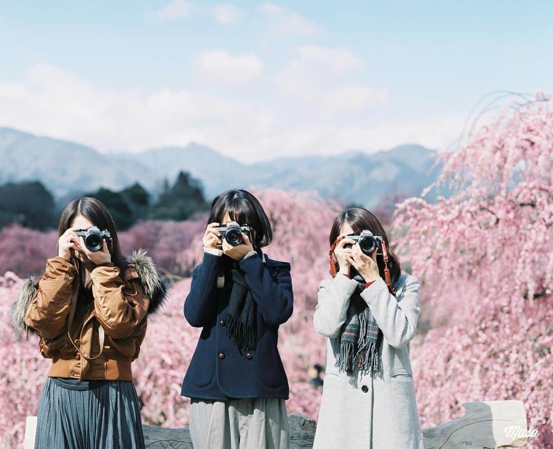 Masaのインスタグラム