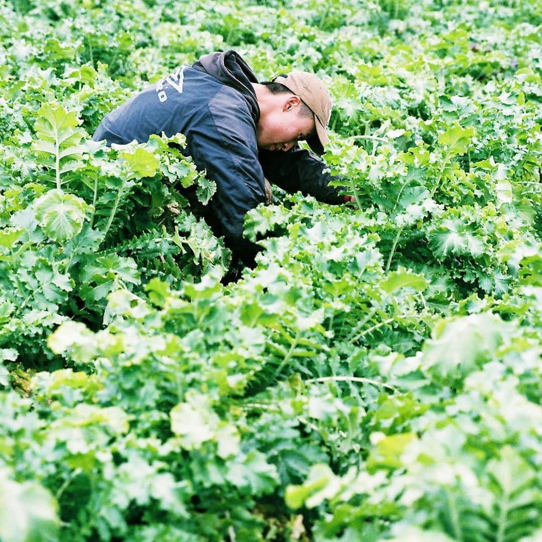 Aya（高本彩）のグルメインスタ