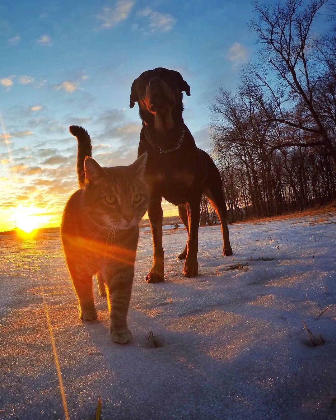 マニーのインスタグラム：「🌅 #gopro」